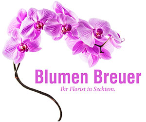 Blumen Breuer